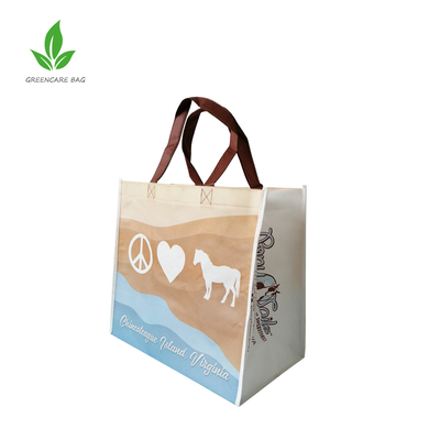 rPET Non Woven Bag 007